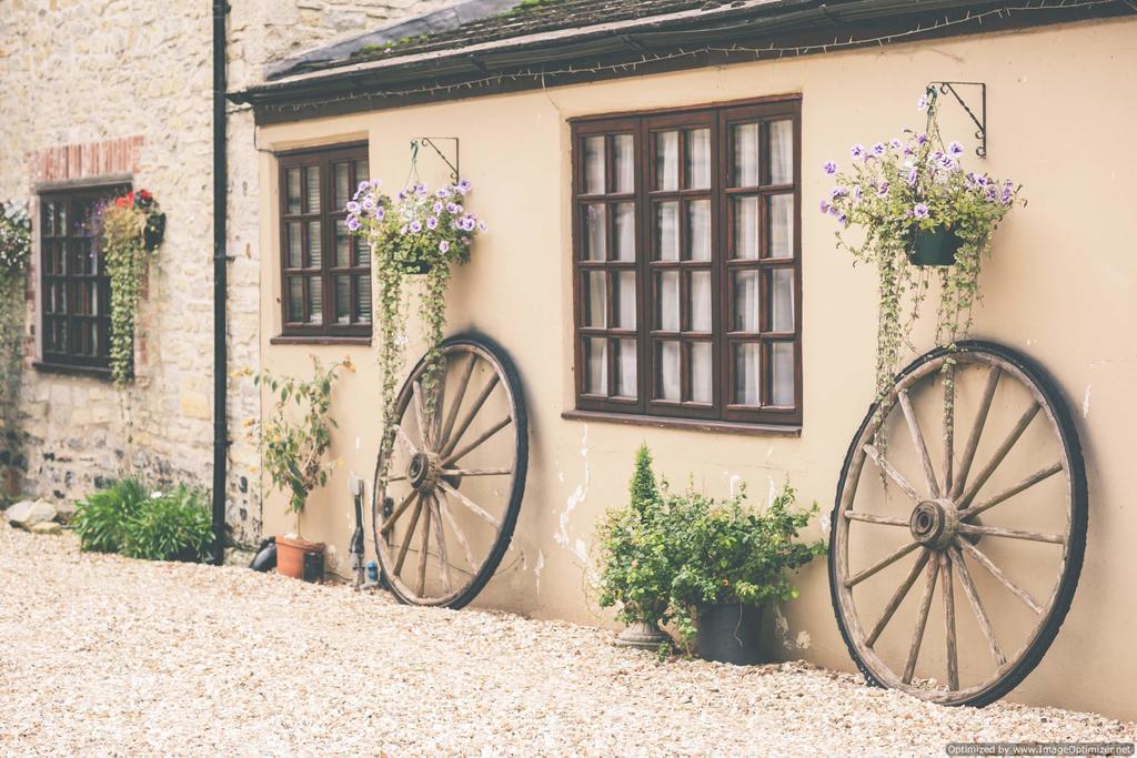 Weycroft Mill House Bed And Breakfast 阿克斯明斯特 外观 照片