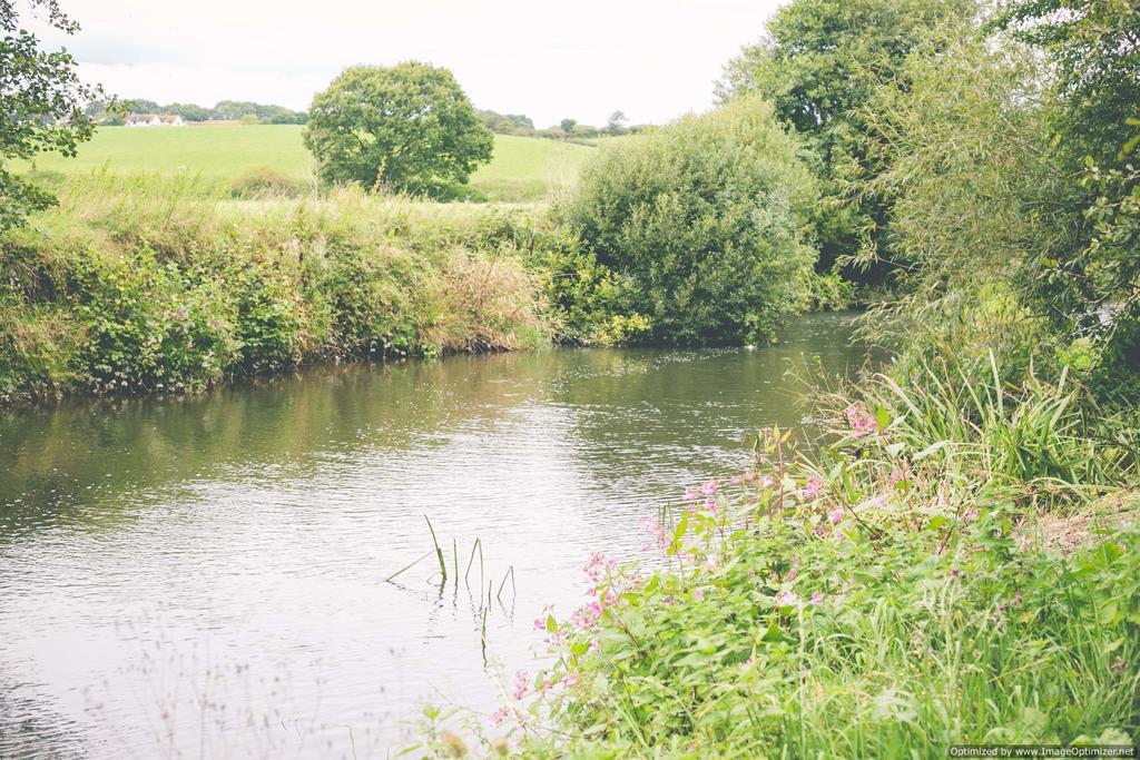 Weycroft Mill House Bed And Breakfast 阿克斯明斯特 外观 照片